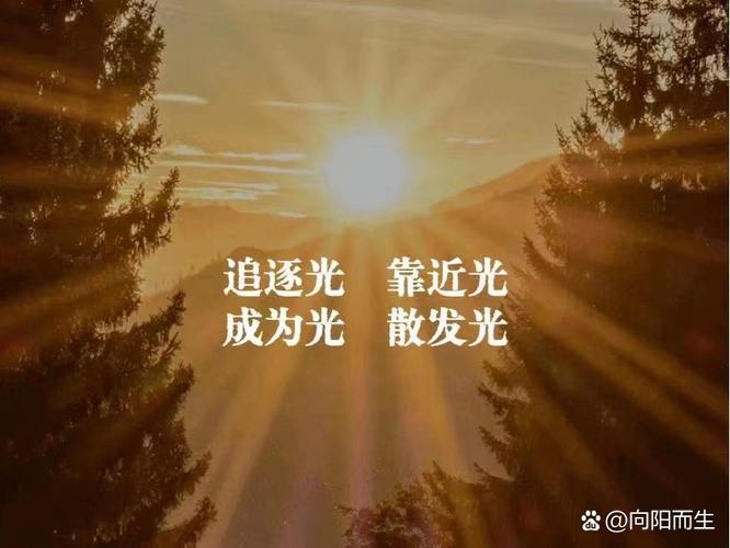 娱乐圈逐梦者周倩：数字浪潮下的真实追光路