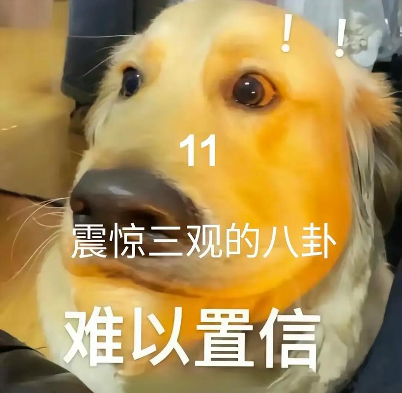 网红搞笑八卦金句合集，吃瓜找台词必备