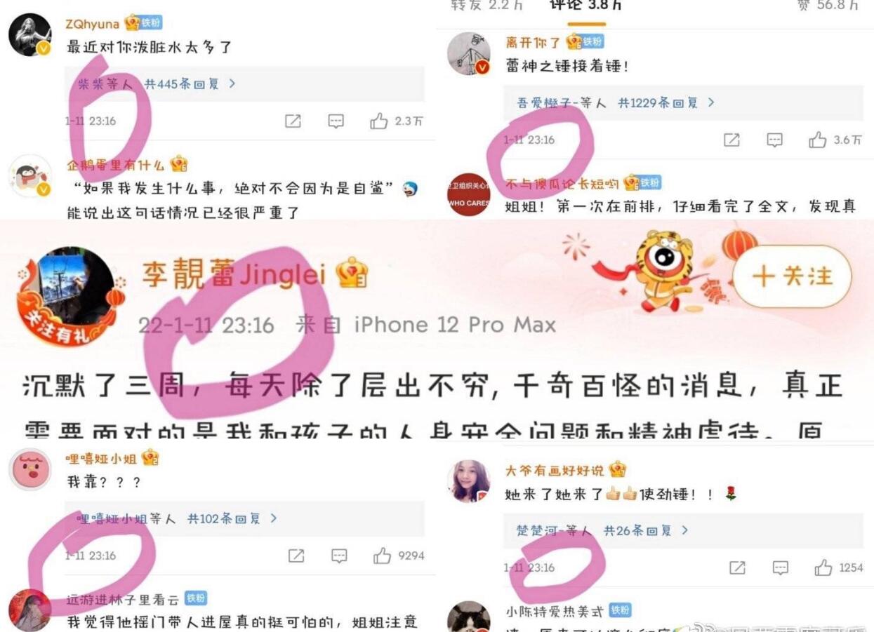 王力宏购买水军曝光事件_李靓蕾晒王力宏买水军证据_娱乐圈 网络水军