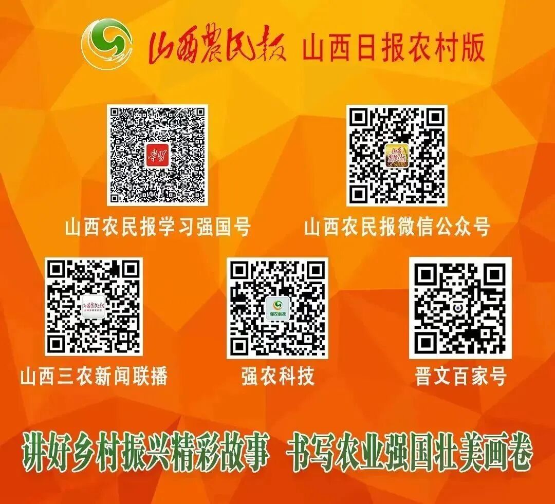 乡村母亲形象描写_无私奉献的妈妈6篇精选作文_母亲节俭生活细节