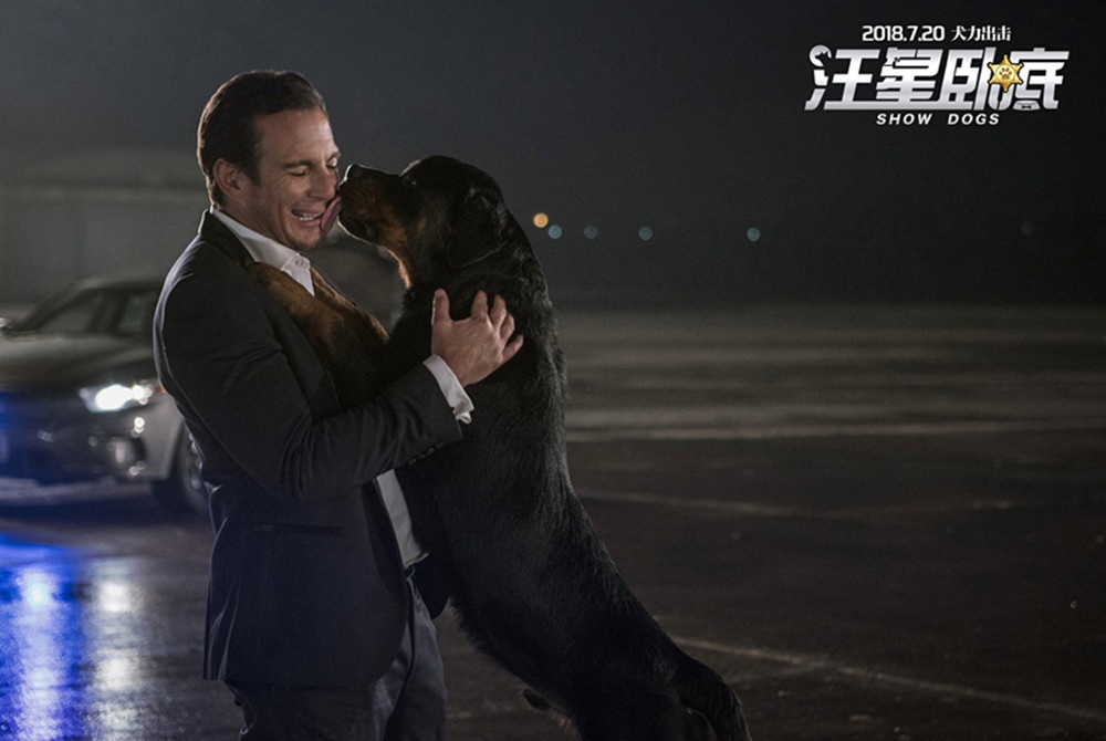 汪星卧底 犬界101 预告片_汪星卧底 合家欢电影 暑期档_一人一狗的动作片视频