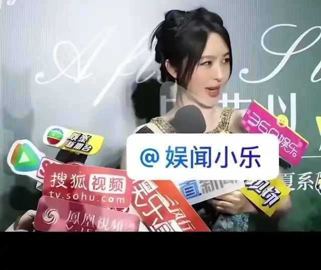 红蜻蜓品牌抵制_杨颖娱乐圈的规则_杨颖粉丝风波