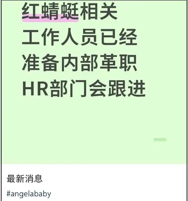 杨颖娱乐圈的规则_红蜻蜓品牌抵制_杨颖粉丝风波