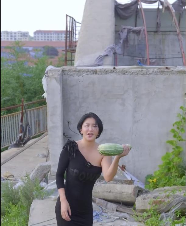 香港女明星三级_张暖雅 香港三级片女星 山东农村 果园女主人