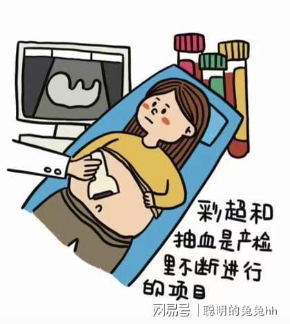 怀孕初期症状_孕中期产检项目_孕妇系列在线观看
