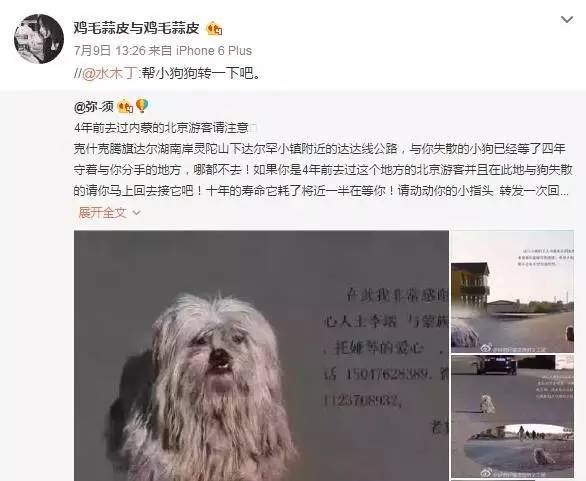 徐静蕾导演作品票房破亿_徐静蕾才女多才多艺_娱乐圈知名女导演