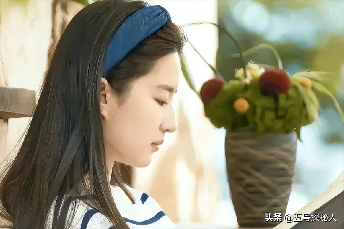 刘亦菲孙俪杨蓉李沁刘诗诗谭松韵_出道以来无黑料无绯闻的明星,_娱乐圈干净女明星