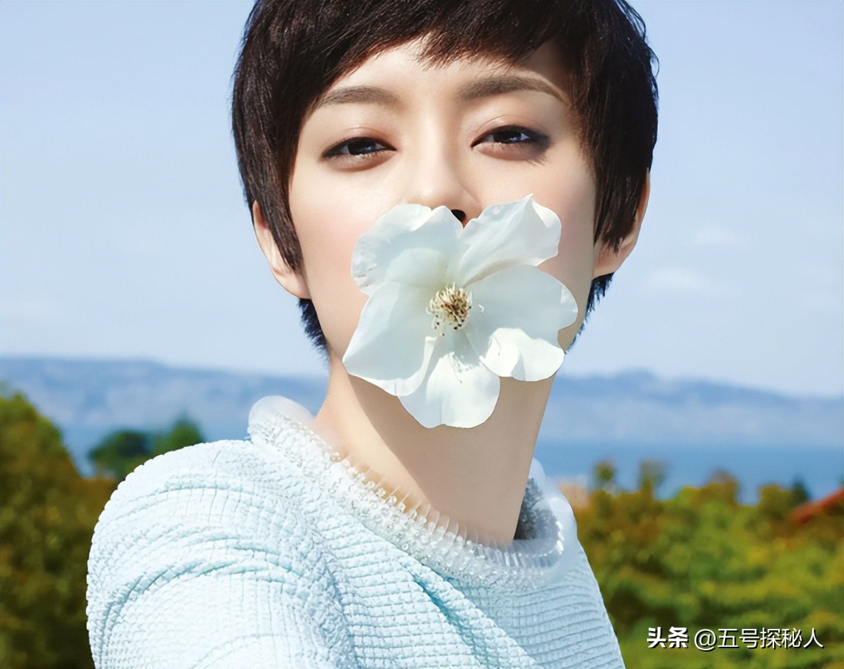 娱乐圈干净女明星_出道以来无黑料无绯闻的明星,_刘亦菲孙俪杨蓉李沁刘诗诗谭松韵