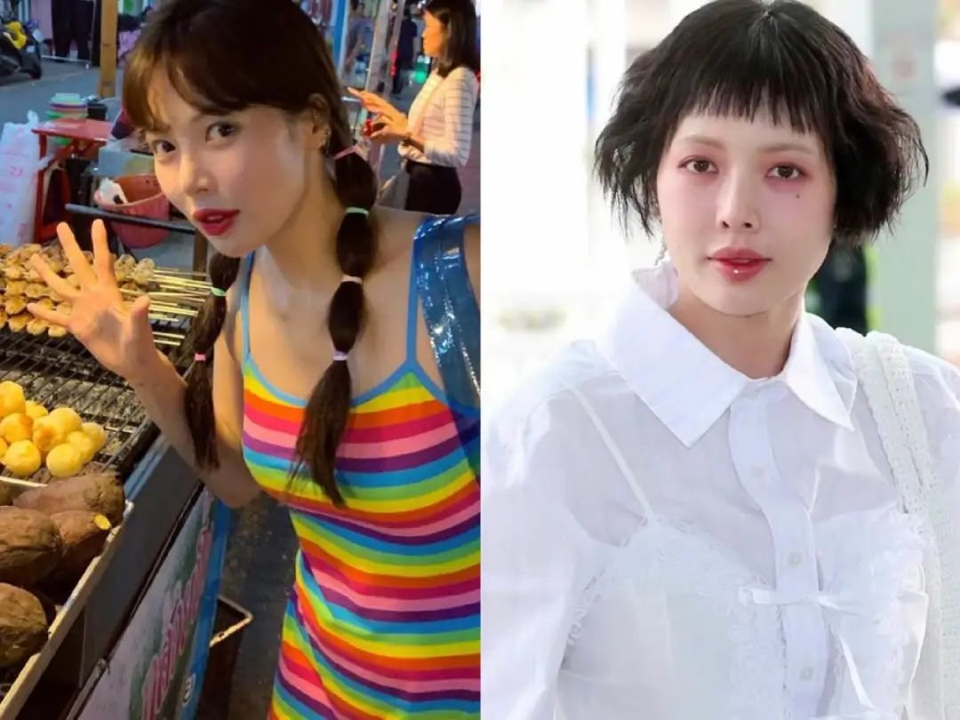 韩国女明星腿_韩国酵母现象分析_韩国艺人变肿原因