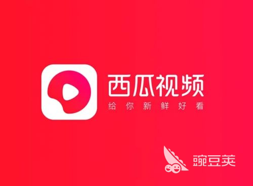 b站概念版app下载_免费看b站大片app推荐_b站国产看大片app在线观看