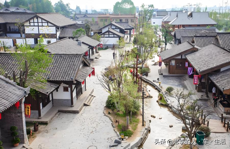 邳州市旅游景点_邳州银杏时光隧道_邳州娱乐圈演员