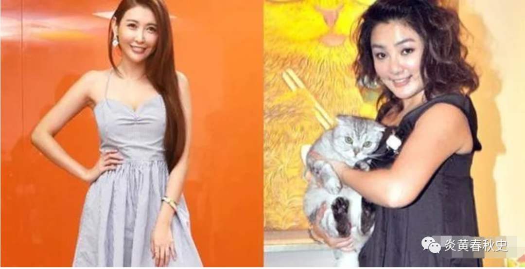娱乐圈女明星性交易名单_台湾女明星卖淫案曝光_娱乐圈女的名单