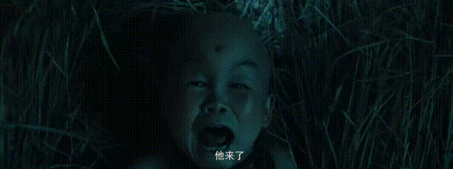 网络电影惊悚片兴起_国产惊悚片市场萎缩_韩国论理电影在线观看