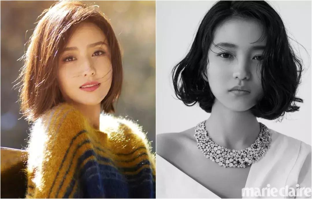 辛芷蕾短发分析_女明星短发造型_短发造型
