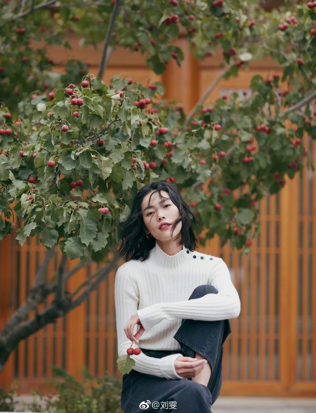 短发造型_辛芷蕾短发分析_女明星短发造型